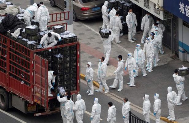 Casos de Covid-19 en el mundo superan los 500 millones ante de presencia de la subvariante BA.2