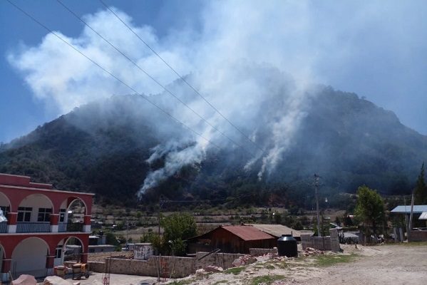 Tres adultos y un menor mueren en incendio en cerro del Gachupín, Oaxaca