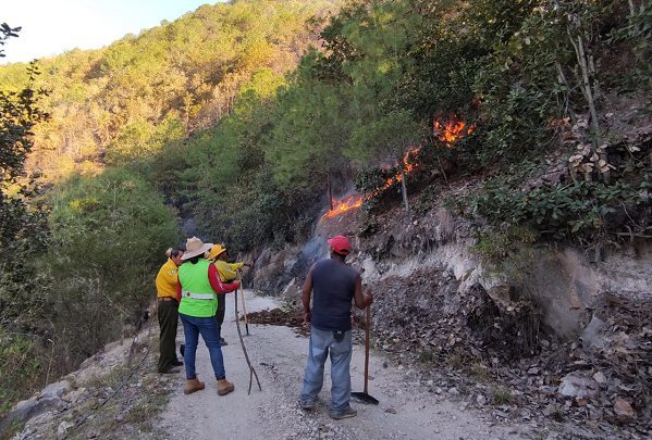 Controlan al 100% incendio en Oaxaca donde murieron 4 personas y encuentra a 2 menores más
