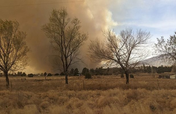 Evacúan a más de 700 casas en Arizona por incendio forestal