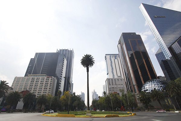 No se pudo salvar. Retirarán palmera de Glorieta en Reforma con emotivo homenaje
