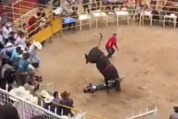 Toro pisa en varias ocasiones a jinete en la Plaza de Toros de Morelia #VIDEO