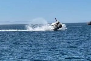 Choque de bote contra ballena en Baja California Sur deja seis heridos #VIDEO