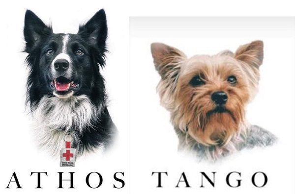 El 16 de mayo tendrá lugar primer juicio de maltrato animal por caso Athos y Tango