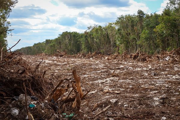 El Gobierno federal impugna la suspensión de obras en el Tramo 5 del Tren Maya