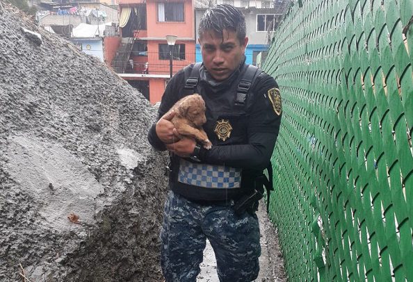 Policías rescatan a perrito atrapado en una barranca en la Álvaro Obregón