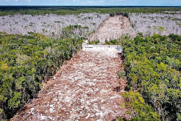 INAH confirmó hallazgo arqueológico en el Tramo 5 del Tren Maya