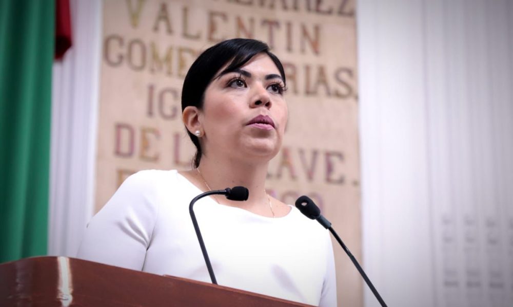 América Rangel, diputada del PAN