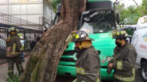 Camión choca contra un árbol en Canal de Miramontes #VIDEO