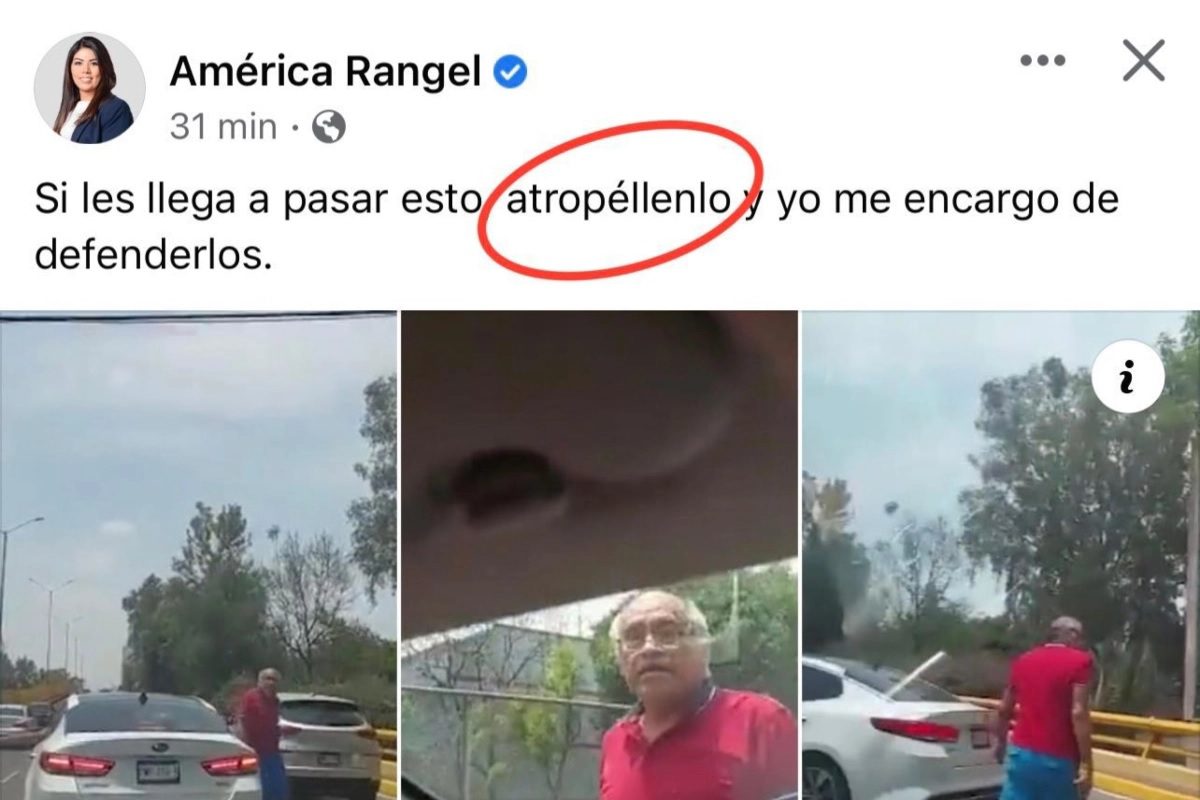 Diputada panista propone atropellar a agresores