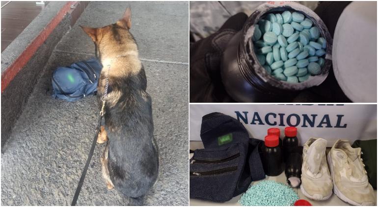 Hallan mochila con 10 mil pastillas de fentanilo en Querétaro