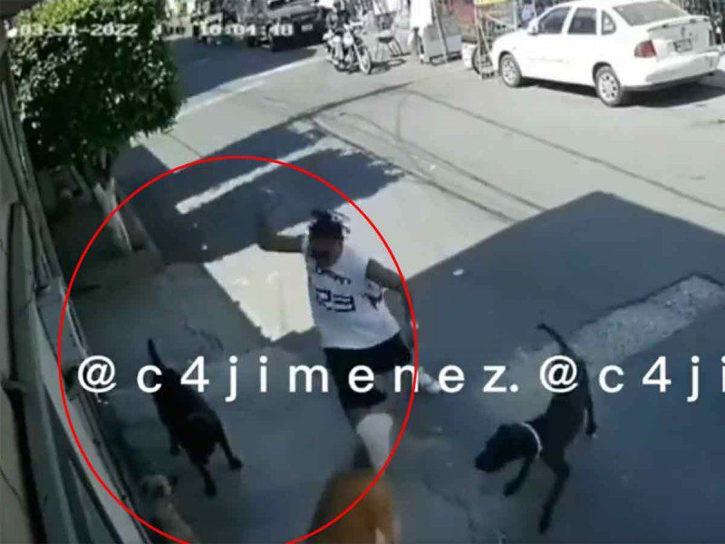 Hombre le lanza una piedra a un perro en Ecatepec