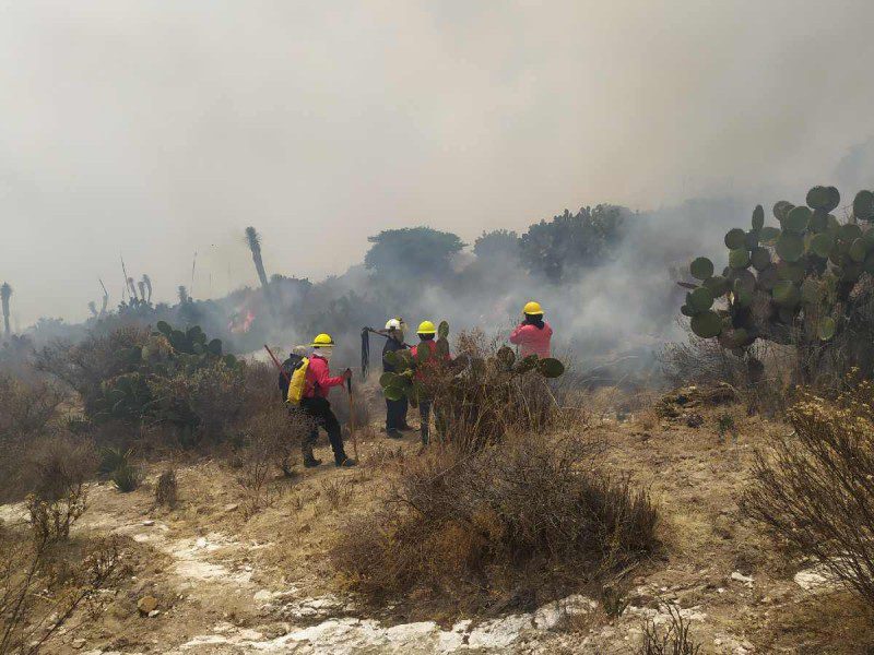 Incendio forestal en cerro de Pachuca