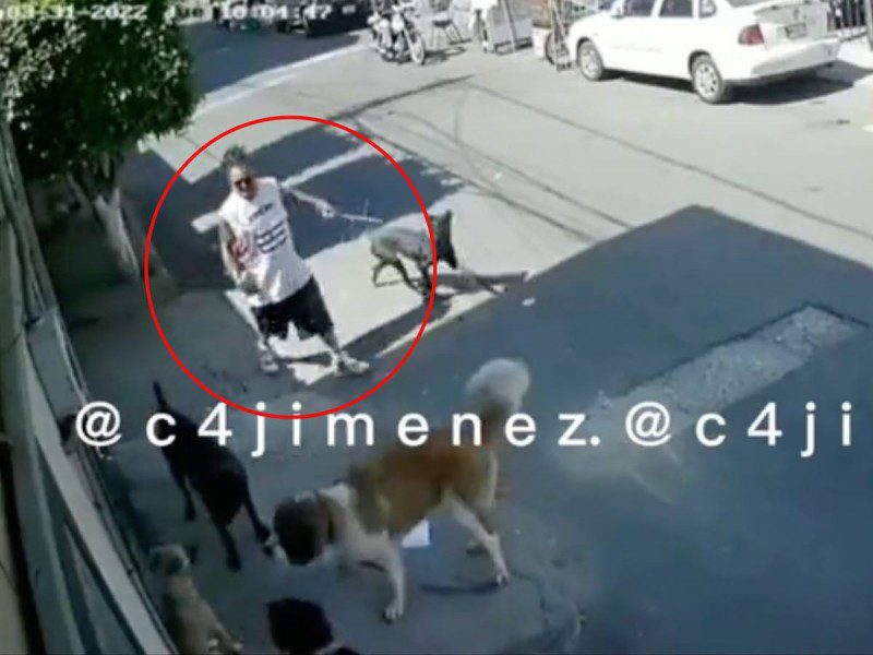 Sujeto apedrea a un perro en Ecatepec