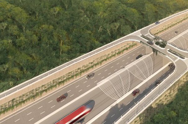 AMLO anuncia plan para el rescate de sitios arqueológicos en el Tren Maya