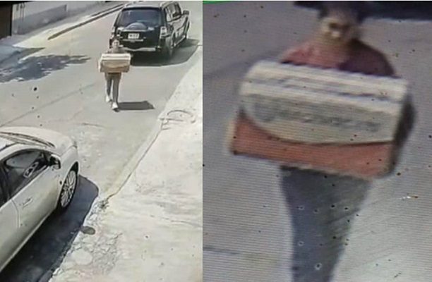 Mujer abandona cachorros en una caja en calles de CDMX y mueren asfixiados #VIDEO