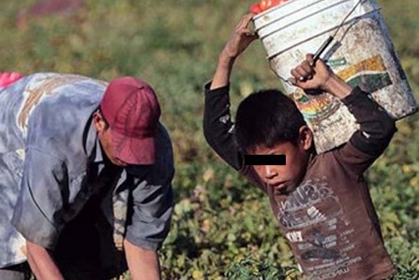Quitarán patria potestad a quien permita el trabajo infantil en Querétaro