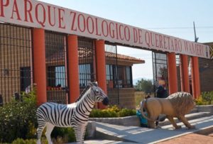 Caen tres personas por el asesinato del dueño del Zoológico de Wamerú