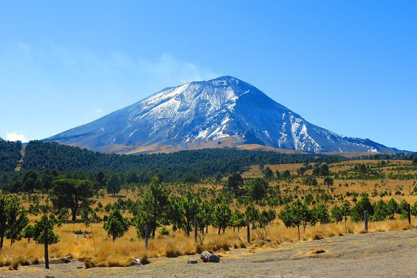 Cae sospechoso de feminicidio de cuerpo hallado en faldas del Popocatépetl