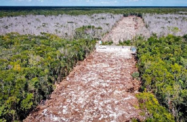 Tribunal confirma suspensión provisional de las obras del tramo 5 del Tren Maya