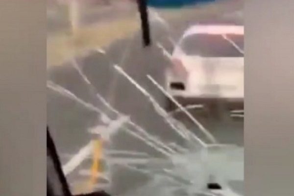 Conductor estrella parabrisas de autobús con pasajeros, en Puebla #VIDEO