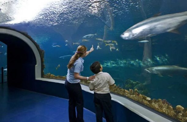 Cuitláhuac García entrega al gobierno estatal el Acuario de Veracruz