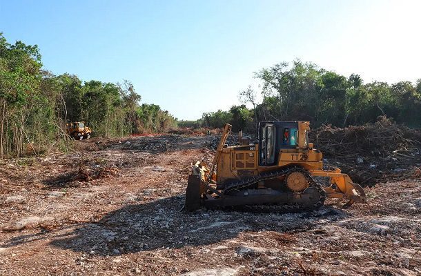 Juez admite a trámite demanda contra cinco empresas constructoras del Tren Maya