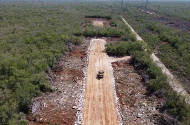 Estudio de impacto ambiental del Tren Maya no considera impactos significativos