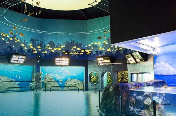Reabren el Aquarium del Puerto de Veracruz tras toma de control de Gobierno estatal