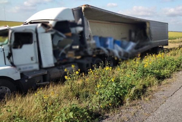 Se accidenta tráiler que transportaba 4 toneladas de cadáveres de gatos y perros, en Tamaulipas