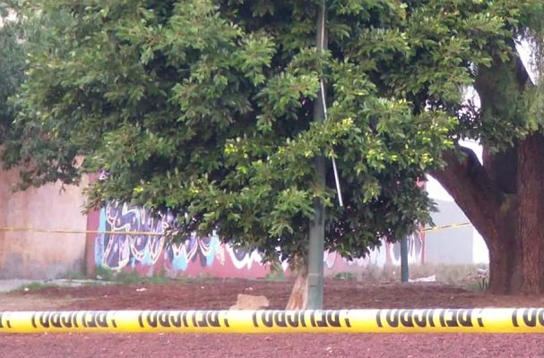 Encuentran a joven colgada de un árbol, en Iztapalapa