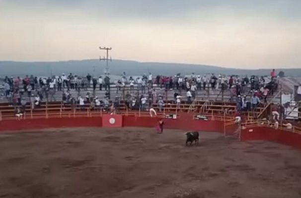 Toro escapa de plaza y embiste a 4 personas, en Tulancingo, Hidalgo #VIDEO