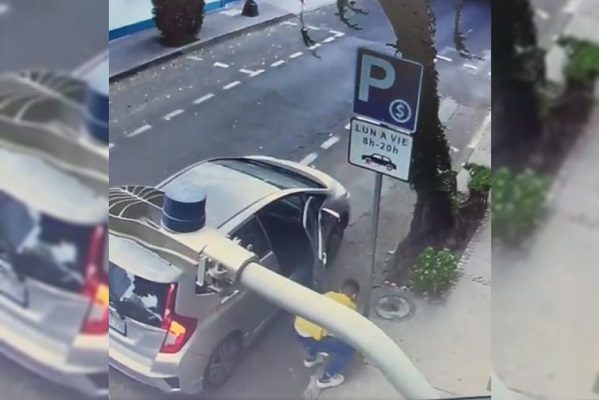 Exhiben a conductor abandonando a perrito en calles de la CDMX #VIDEOS