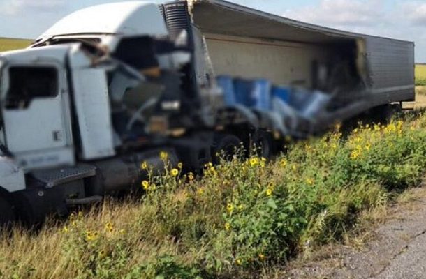 Sin licencia de operación empresa de tráiler que transportaba perros y gatos muertos