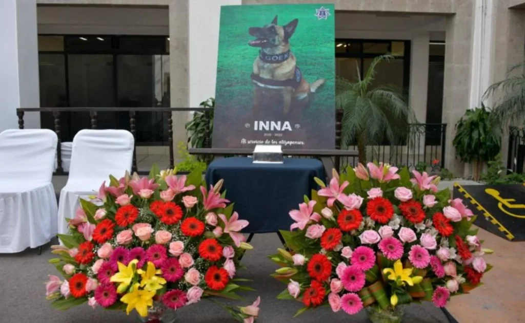 Rinden homenaje a 'Inna', perrita que halló fosa con restos del 'Caníbal de Atizapán'