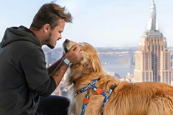 Influencer brasileño muere en accidente de auto junto con su perrito en EU