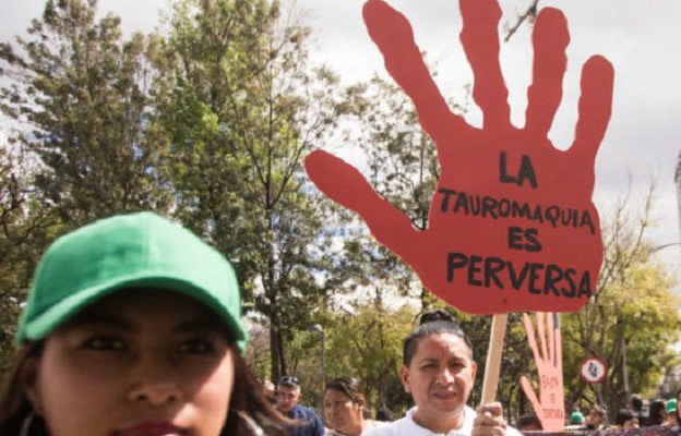 Juez suspende corridas de toros en la Plaza México de CDMX; NL prevé vetarlas también