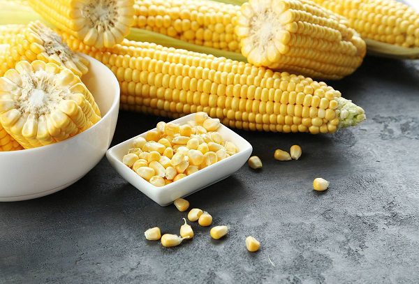 Gobierno comprará más de medio millón de toneladas de maíz para plan contra inflación