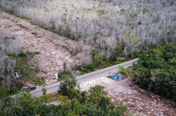 AMLO anuncia acciones contra amparo definitivo para detener obras en Tren Maya