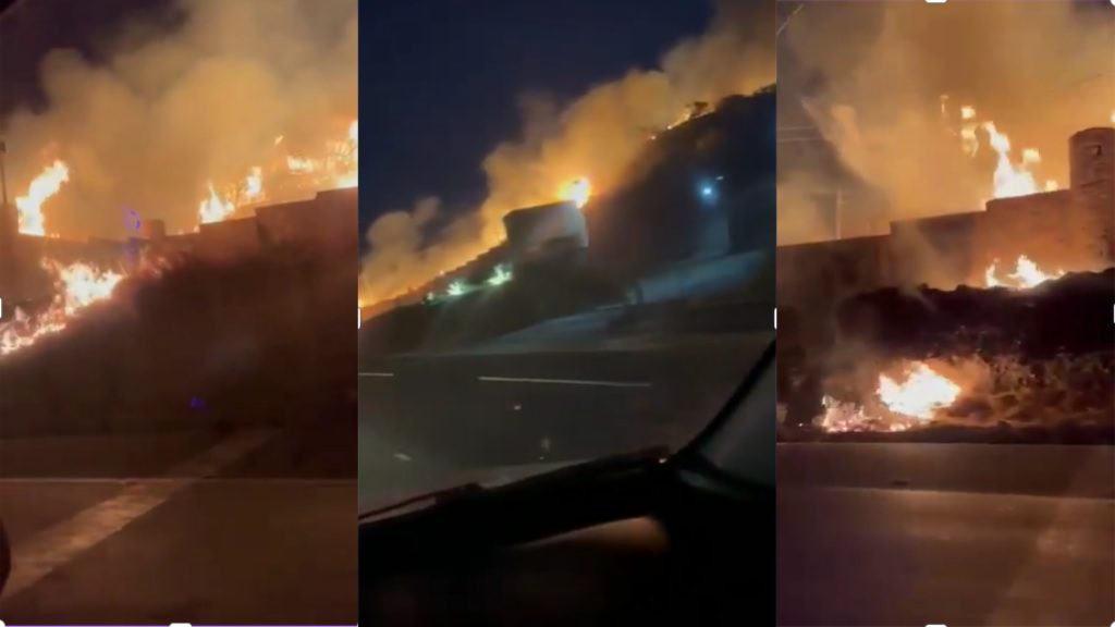 Incendio en viñedos de San Miguel de Allende