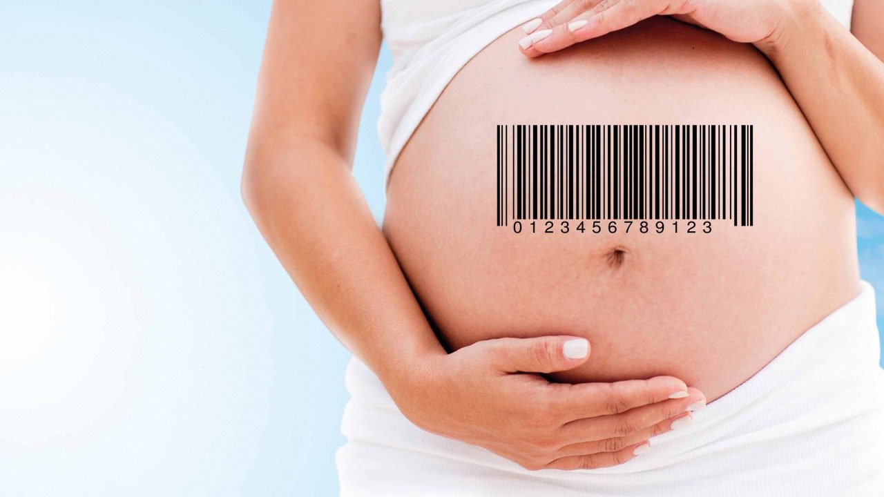 Mercado reproductivo en México