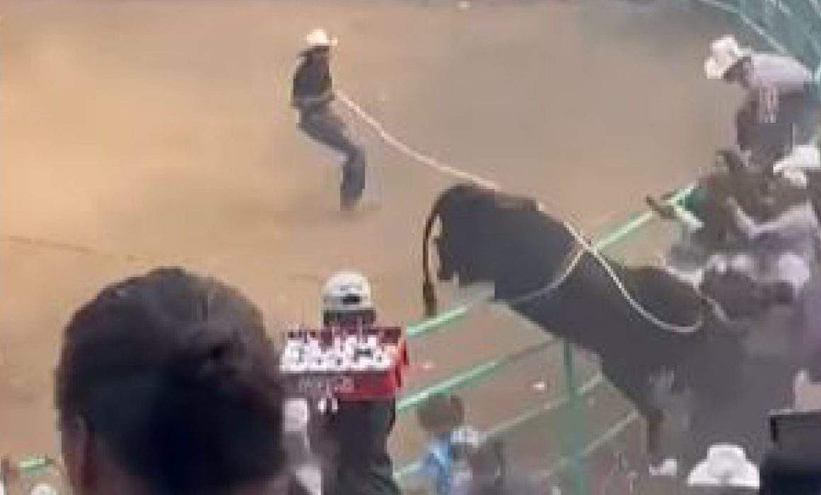 Toro salta hasta las gradas en jaripeo de Zirahuén, Michoacán