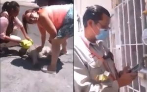 Trabajador de la CFE mata a una perrita en Puebla #VIDEO