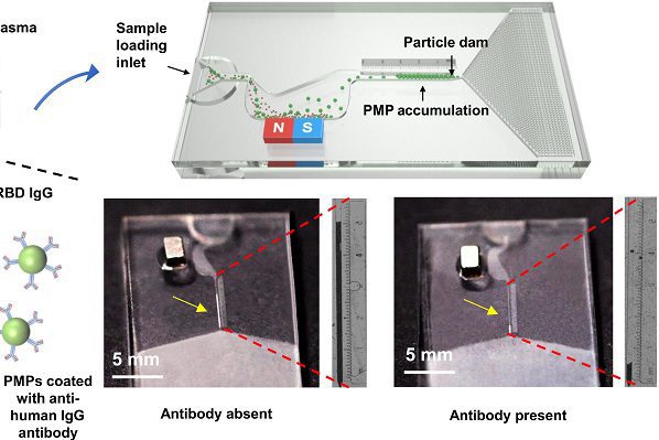 Multitud quema vivo a un hombre en Nigeria
