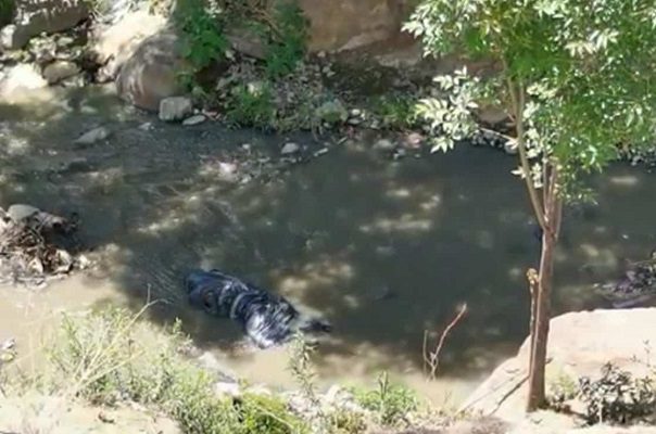 Abandonan cuerpo embolsado en canal de aguas negras de Naucalpan