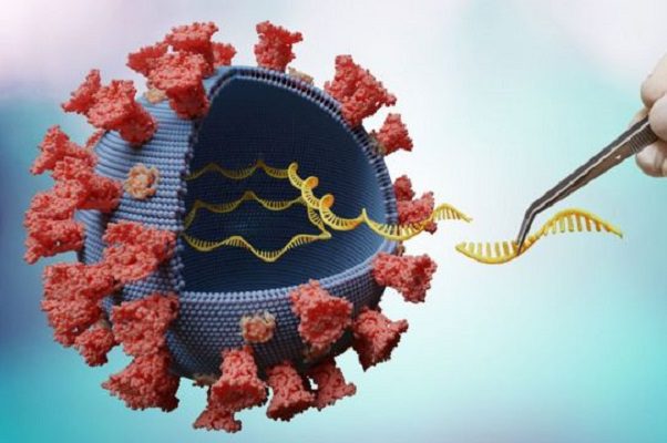 Dos cepas de la variante Ómicron del COVID-19 ganan terreno en Estados Unidos