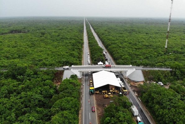 ONG's presentan a la Semarnat observaciones sobre Tramo 5 Sur del Tren Maya