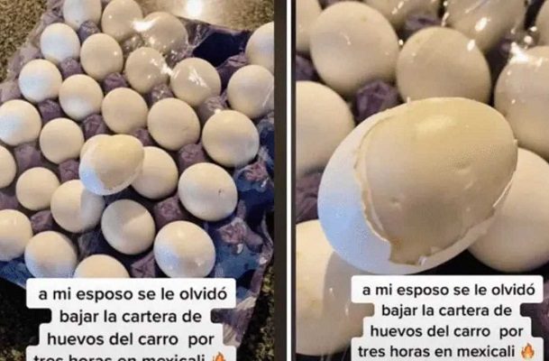 Mujer olvida huevos dentro de auto en Mexicali y terminan cocidos