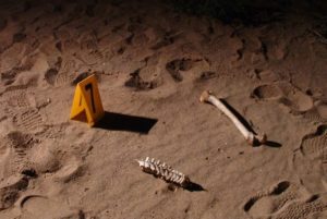 Abandonan 5 cuerpos calcinados en un fosa clandestina en Cortázar, Guanajuato