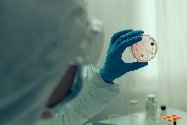 Descarta caso de cólera en España tras anuncio de dos autoridades locales